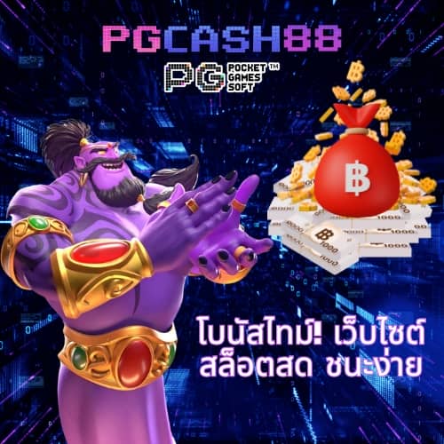 เวปล็อตโต้
